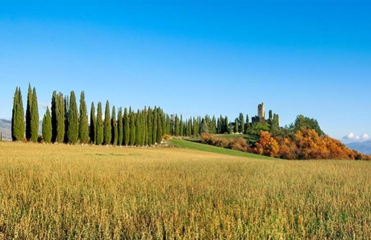Da Nonna Gio' Appartement Pratovecchio Buitenkant foto